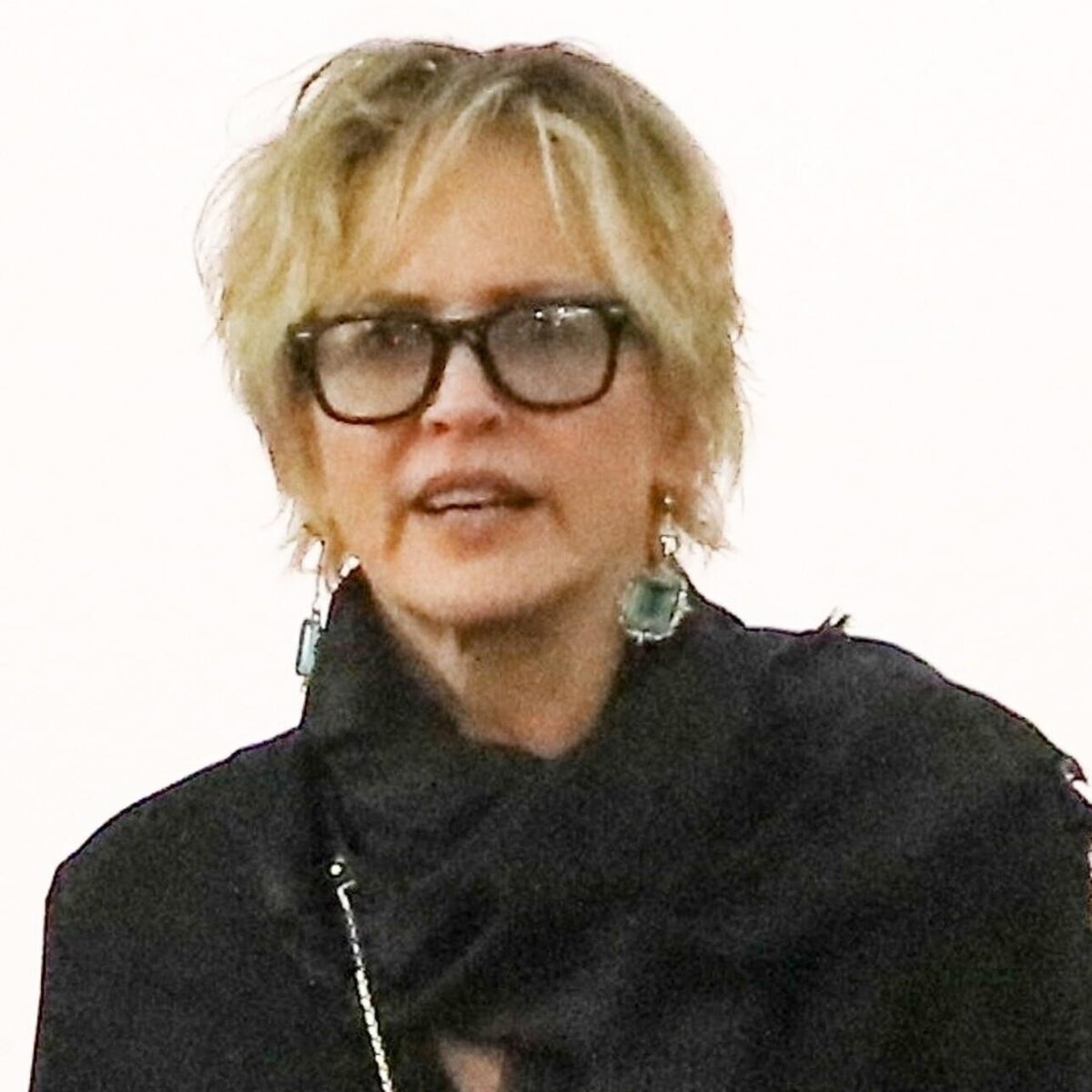    Трагедия: Шэрон Стоун потеряла самого дорогого мужчину LEGION-MEDIA