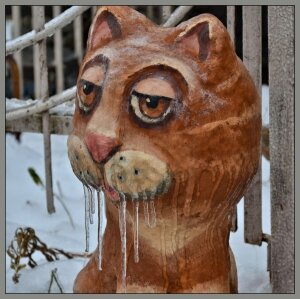 Кот с усами после ледяного дождя.