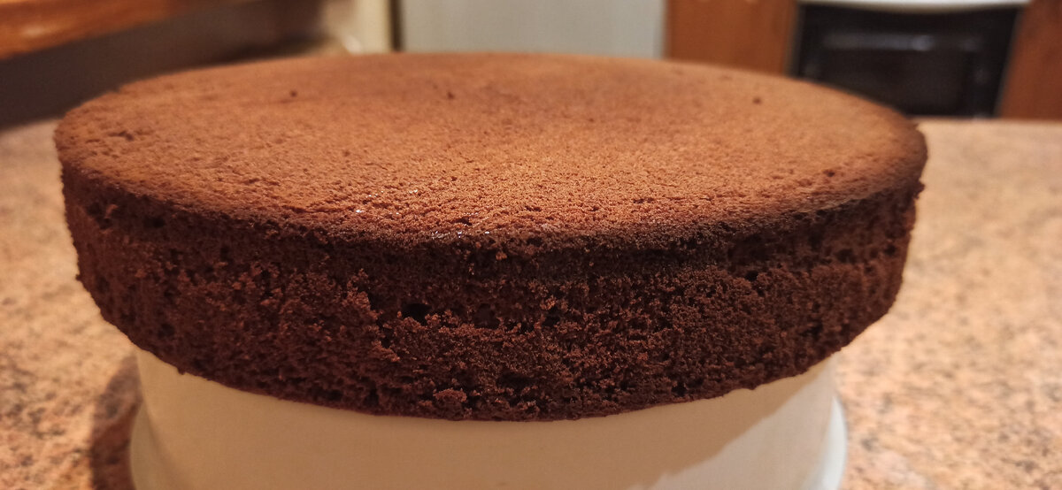 Шоколадный бисквит