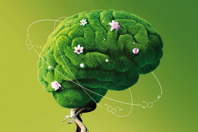 Источник: https://vektor-tv.ru/light/gormony-schastya/