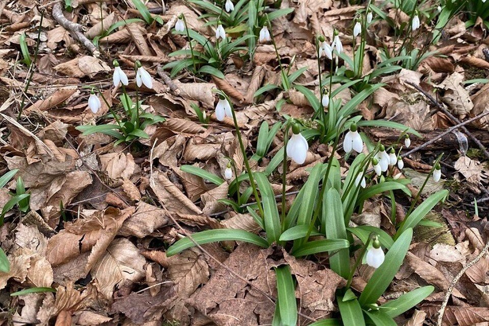     В Сочи не будет дождей. Олег УМАРОВ