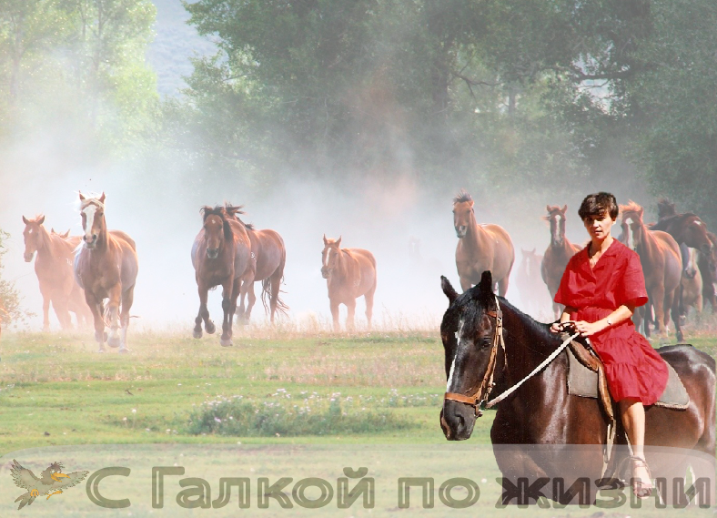 фото из архива автора