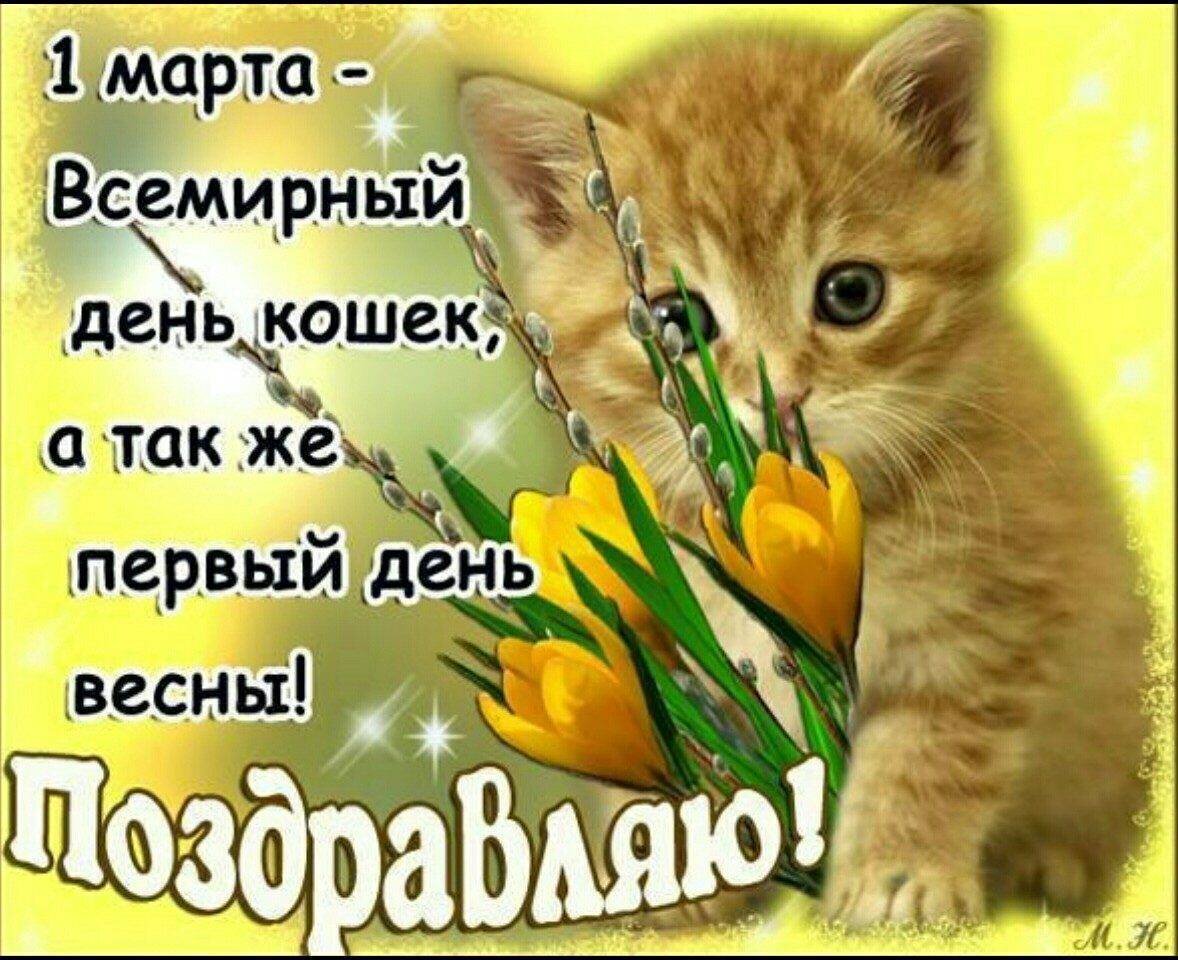 Спервым днём весны и днём кошек