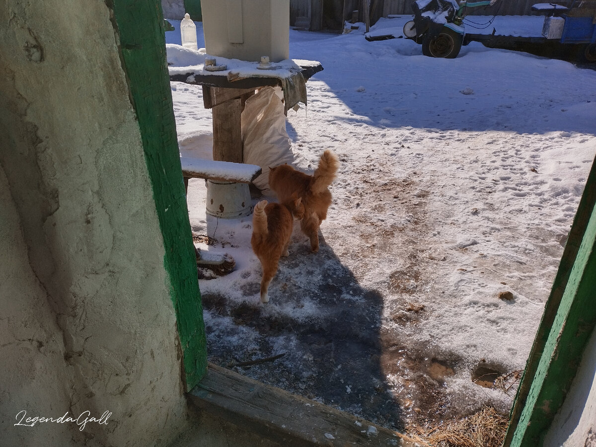 Эти уже выспались
