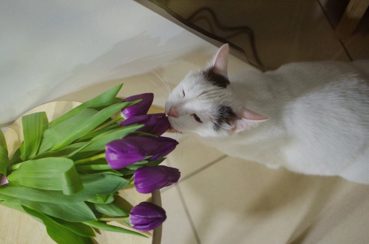 ���� �� ���������.