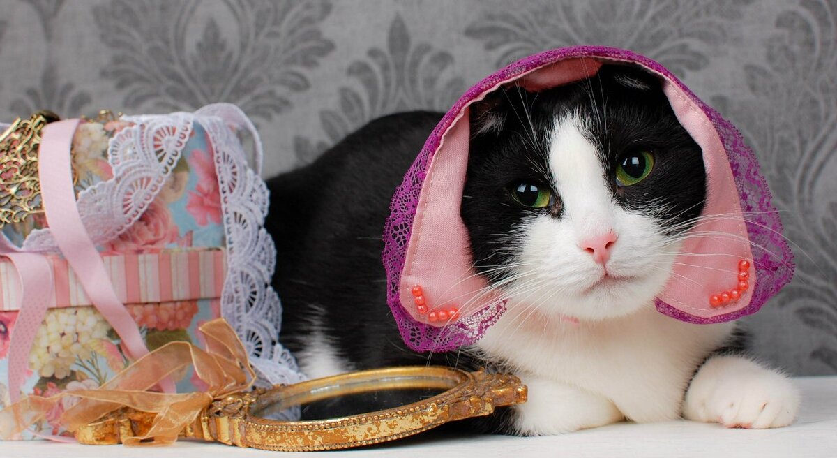 Моня в юности