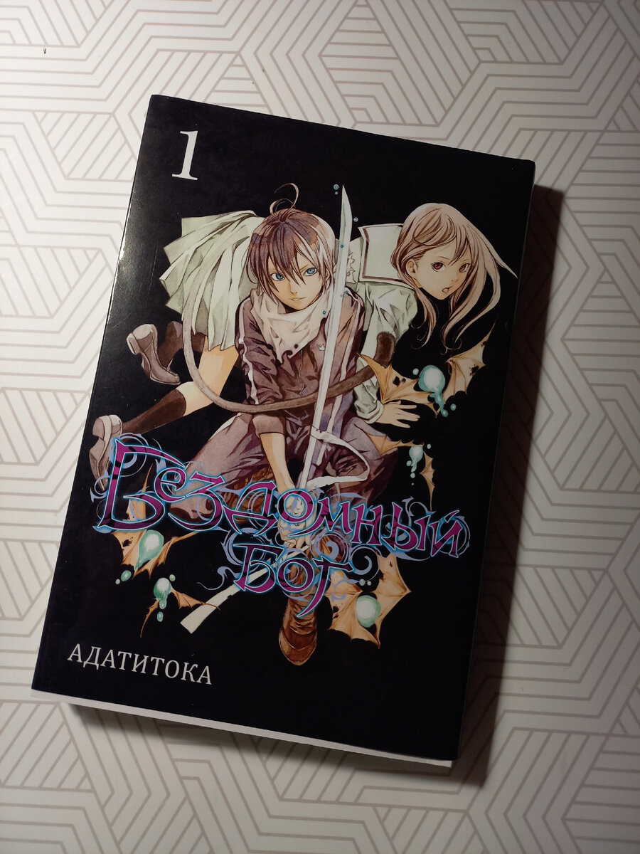 Обложка 1-го тома "Бездомный Бог"