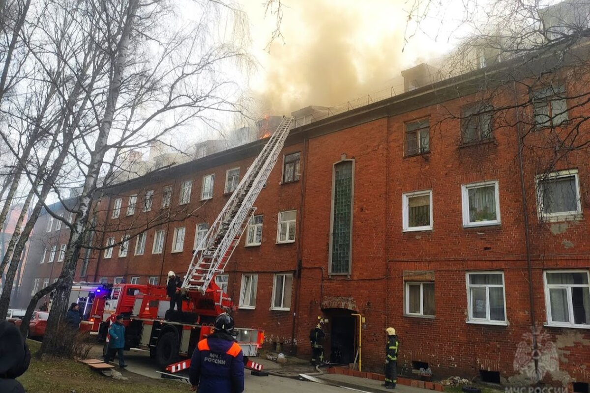 Фото: телеграм-канал регионального УМЧС