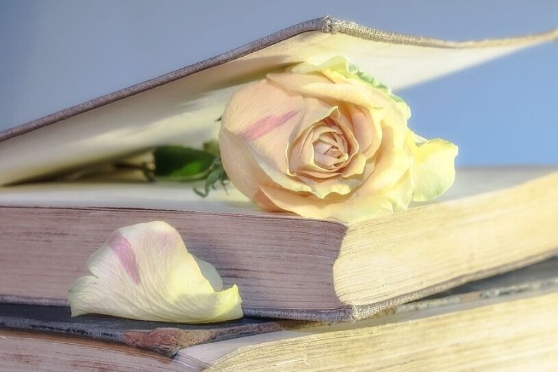     Цитаты из книг и фильмов, которые помогут не сдаться в трудную минуту или после неудачи