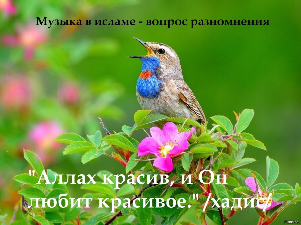 фото из интернета, из общего доступа.