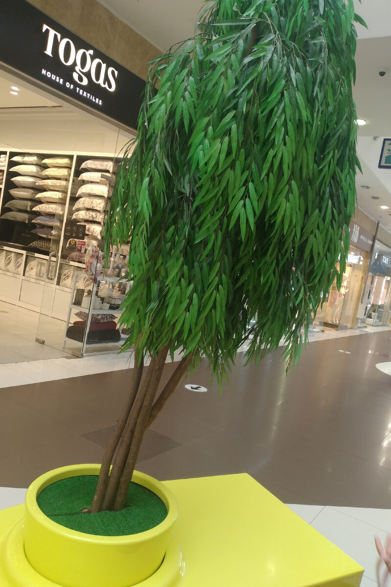 Личное фото автора Bahtysha. 