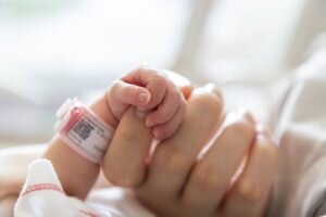    Фото: Shutterstock Анита Ким