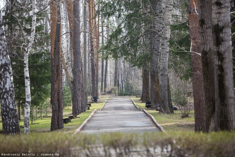    Фото: Дмитрий Кандинский / vtomske.ru