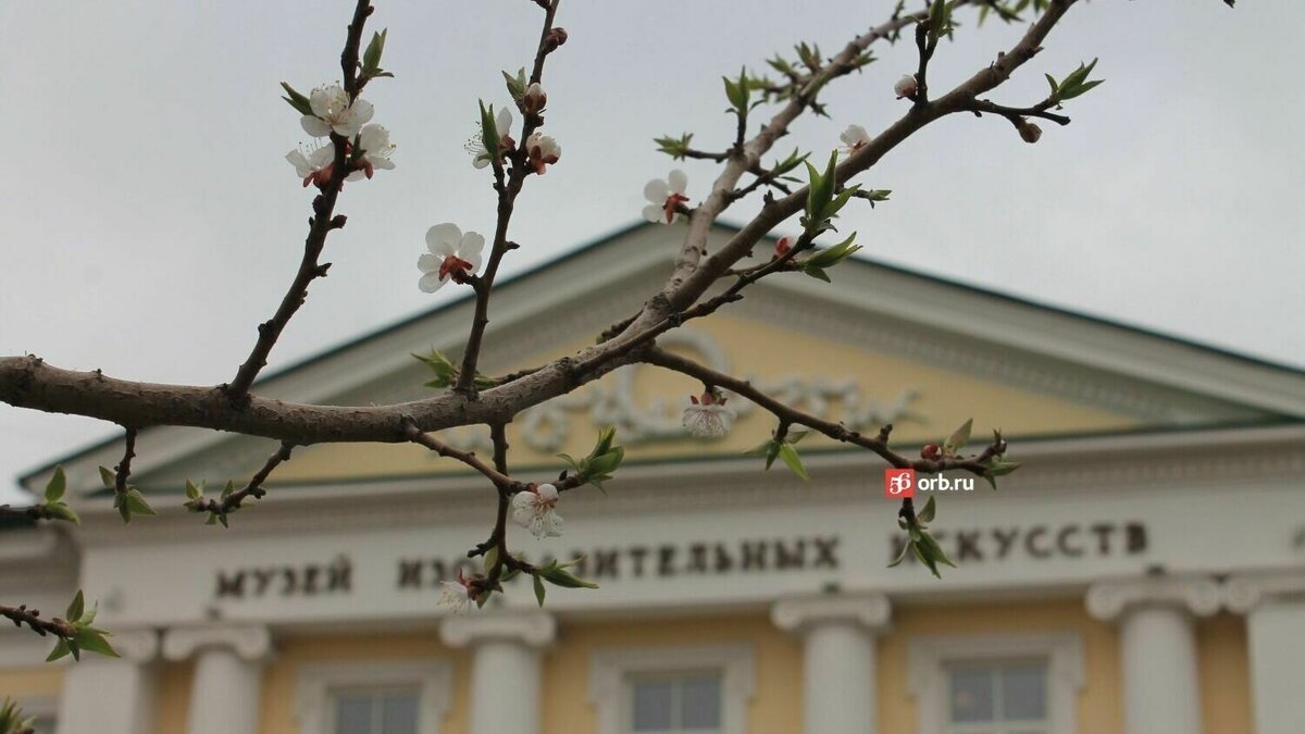 Оренбург цветет и пахнет: с приходом весны в городе заблагоухали деревья и  цветы | 56orb.ru | Дзен