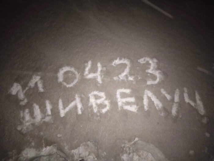  Фото: телеграм-канал "Крабы, тигры и вулкан". Муниципалитеты Камчатки засыпаны пеплом