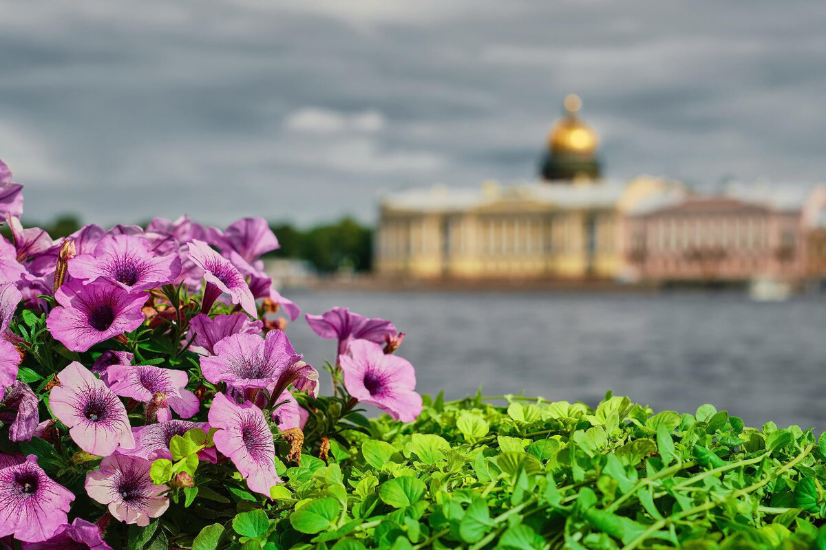 бизнесмены санкт петербурга список