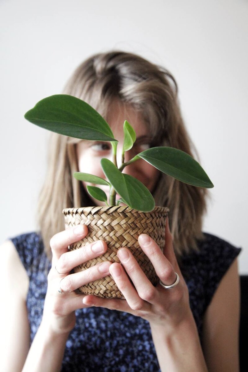 "Мои отношения с растениями похожи на американские горки, у которых только два подъёма:) пытаюсь занырнуть в детские воспоминания и ощущаю трепет."