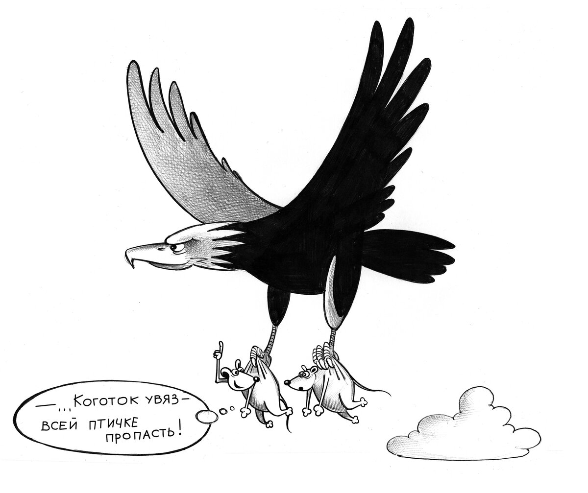 Коготок увяз всей птичке пропасть. Карикатуры про птиц. Птичка карикатура. Орел карикатура.