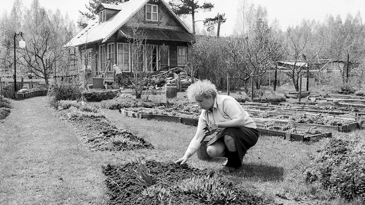 Мария Павловна ушла от мужа после 40 лет брака. Ушла с громким скандалом: обвинила супруга в том, что он ей всю жизнь испортил.-2