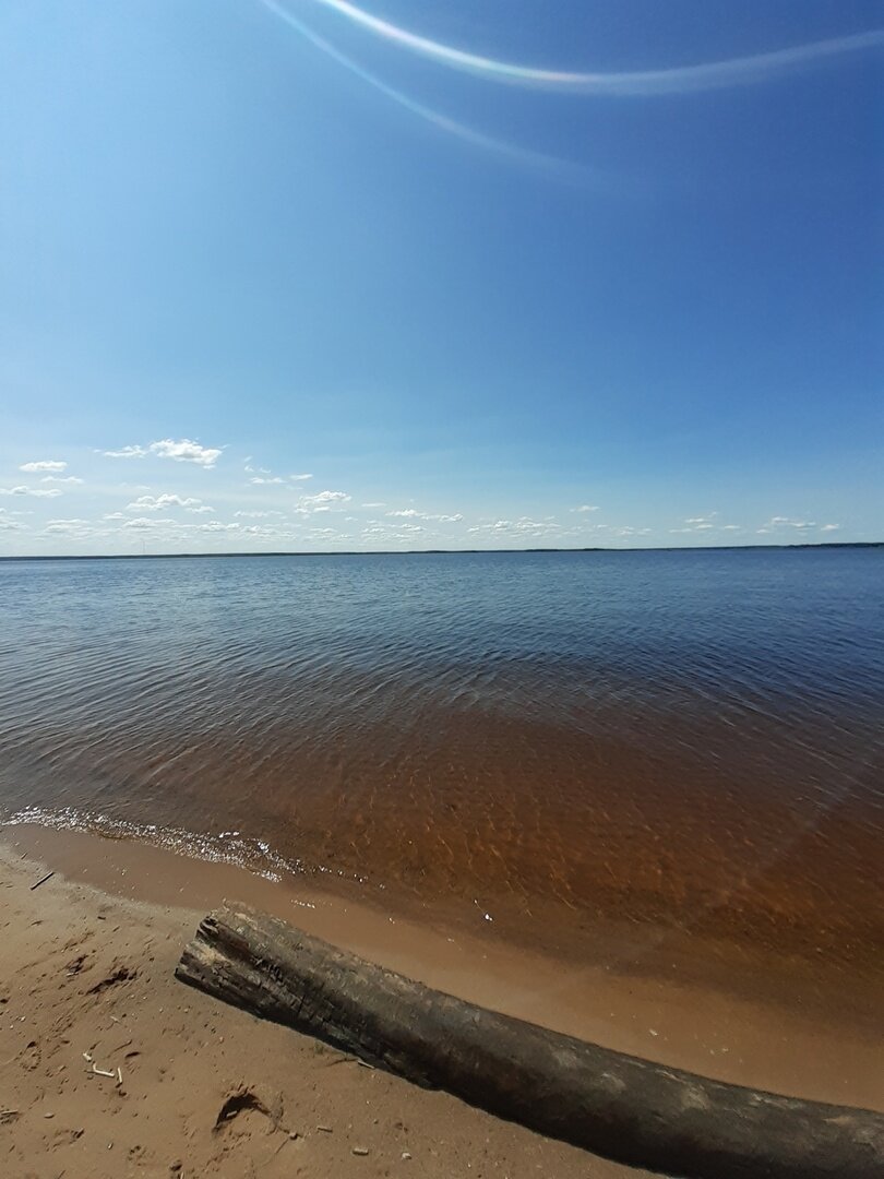 И бревно совсем не портит вид