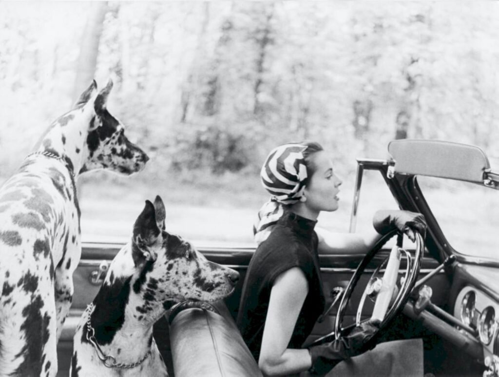     Фото: Lionel Kazan