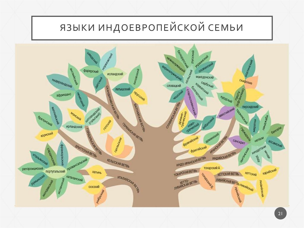 Индоевропейские языки страны. Индоевропейская семья генеалогическое дерево. Индоевропейская семья языков. Генеалогическое Древо индоевропейских языков. Индоевропейская языковая семья дерево.