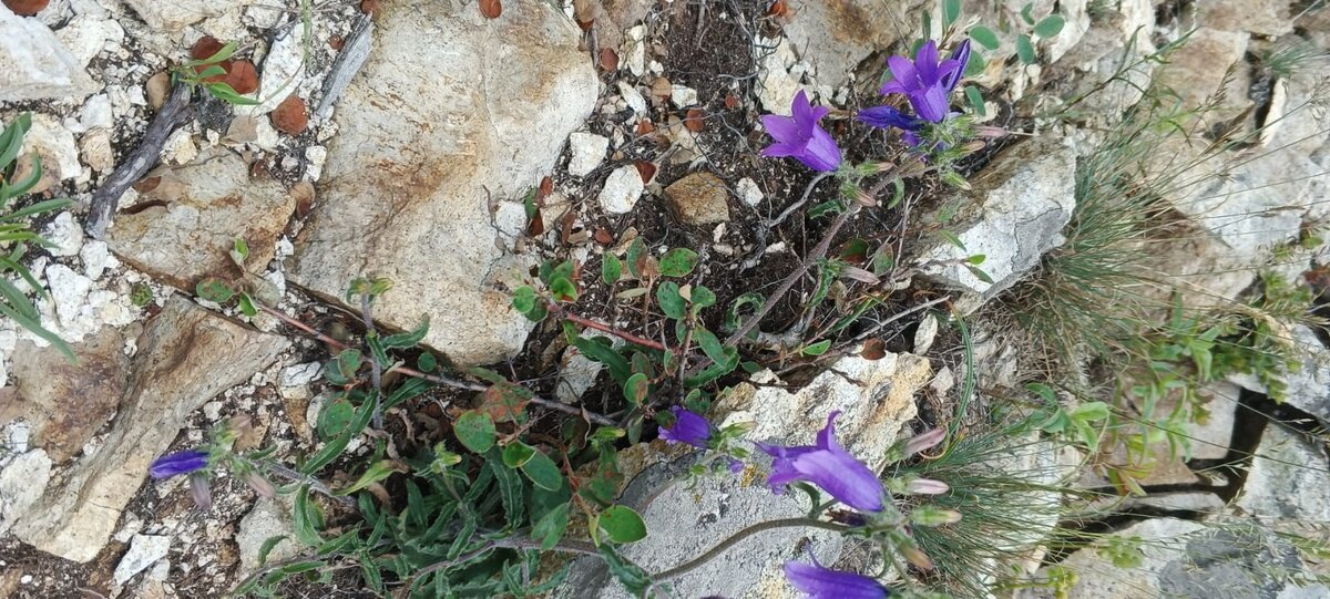 Фот о Ларисы Малковой