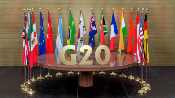    Economic Times: G20 не смогла согласовать коммюнике из-за темы Украины Даниил Шалонников