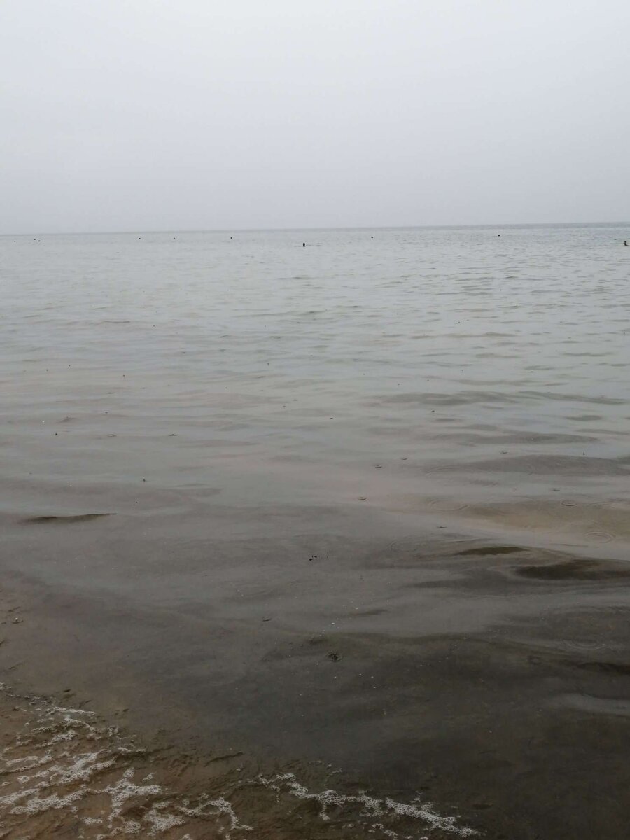 Возле берега водоросли, чуть дальше вода чистая.