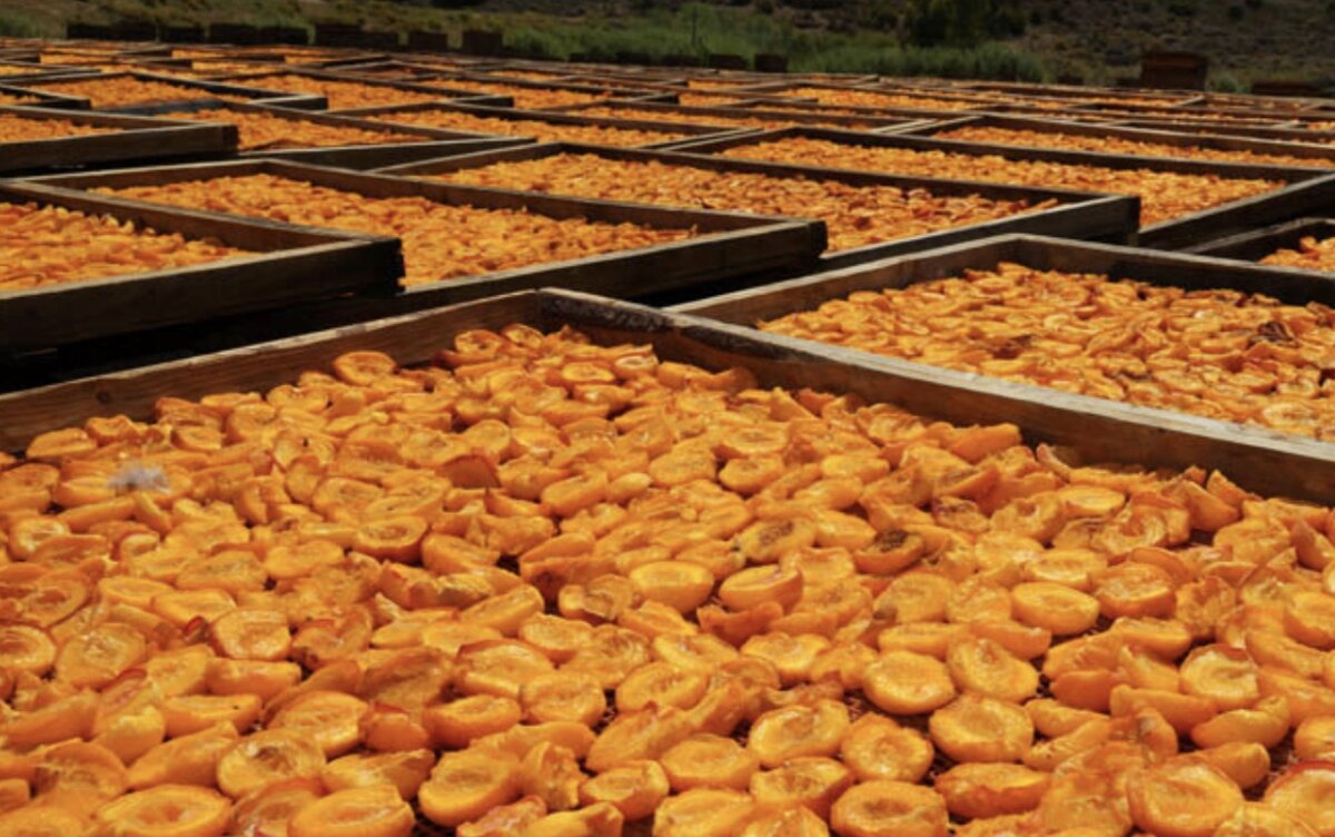 Сушка фруктов на солнце