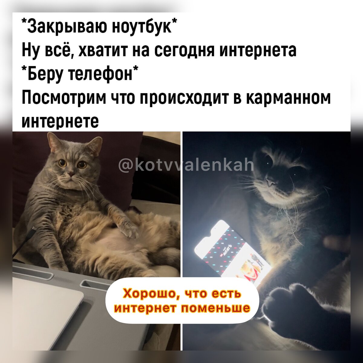 Мемы предпоследней субботы этого года 😻 | Кот в валенках Марсель | Дзен