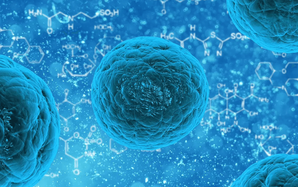    При помощи стволовых клеток ученые смогли спасти жизнь мальчику с пороком сердца