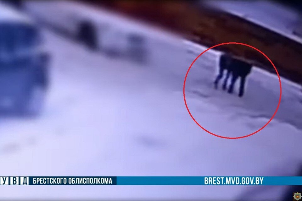     В Барановичах мужчина спрыгнул с балкона и избил водителя Фото: стоп-кадр | видео УВД Брестского облисполкома