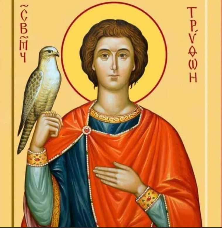 Св птица. Икона Святого мученика Трифона чудотворная.