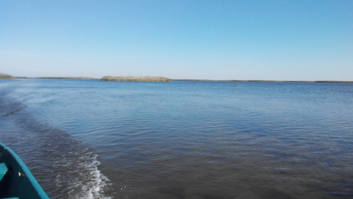 Бескрайние просторы раскатов. Трудно представить что глубина вокруг не выше пояса, а зачастую и колена.