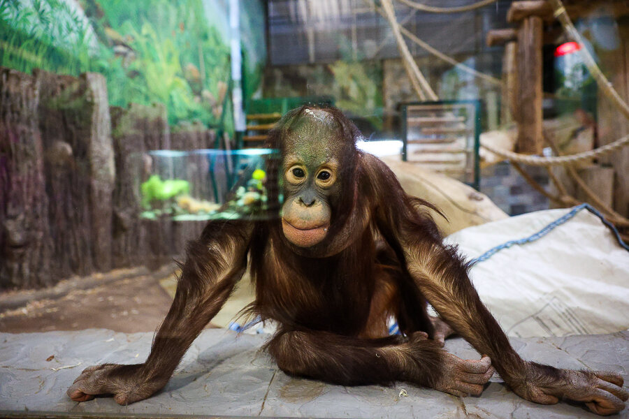 Фото: Виталий Невар / Новый Калининград