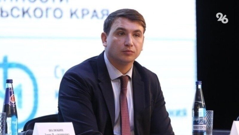 Глава минэкономразвития Ставрополья Денис Полюбин, Фото: ИА «Победа26»