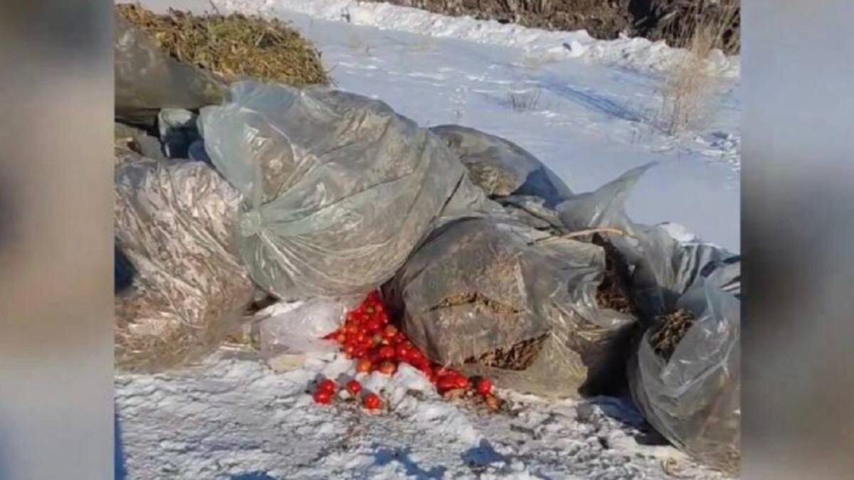    Отходы на полигоне в Актобе:diapazon.kz