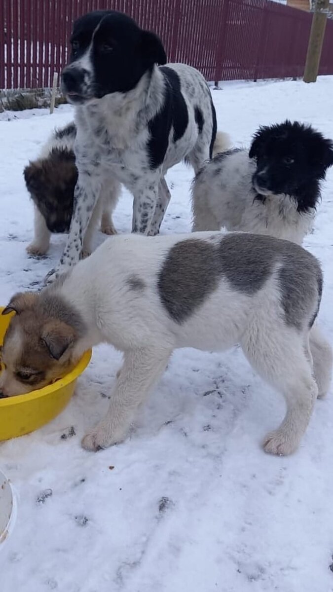 Листайте вправо, чтобы увидеть больше изображений