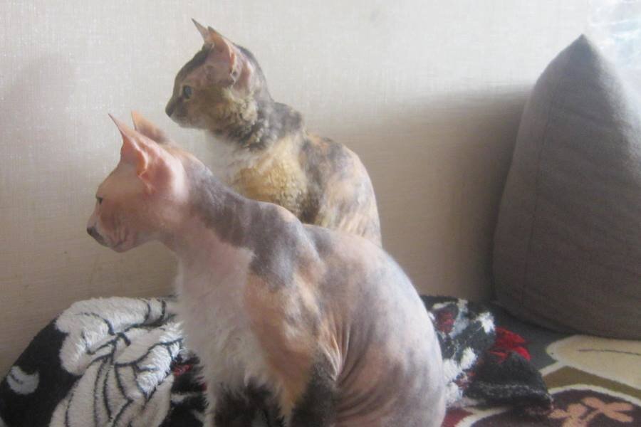 Все фотографии в публикации - авторские