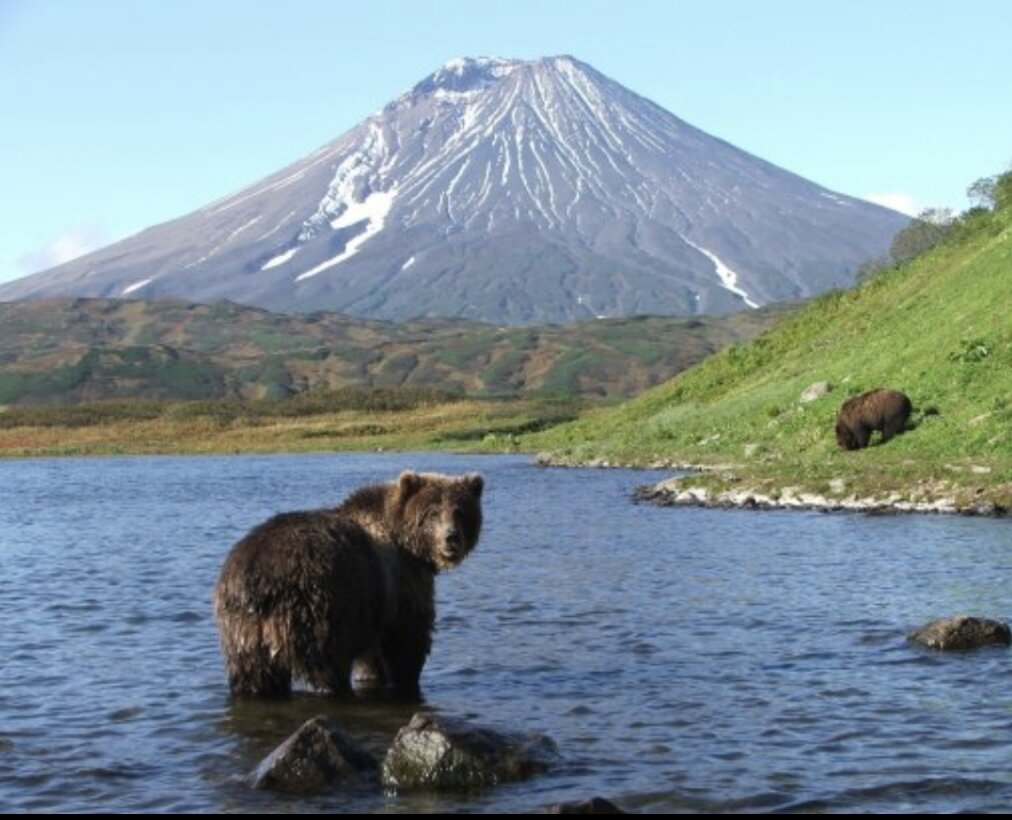 Изображение из свободного источника 