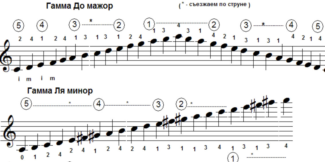 Как строится мажорная гамма