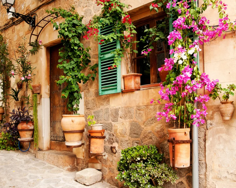 Фото из интернета