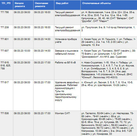     Фото: Тульские городские электрические сети