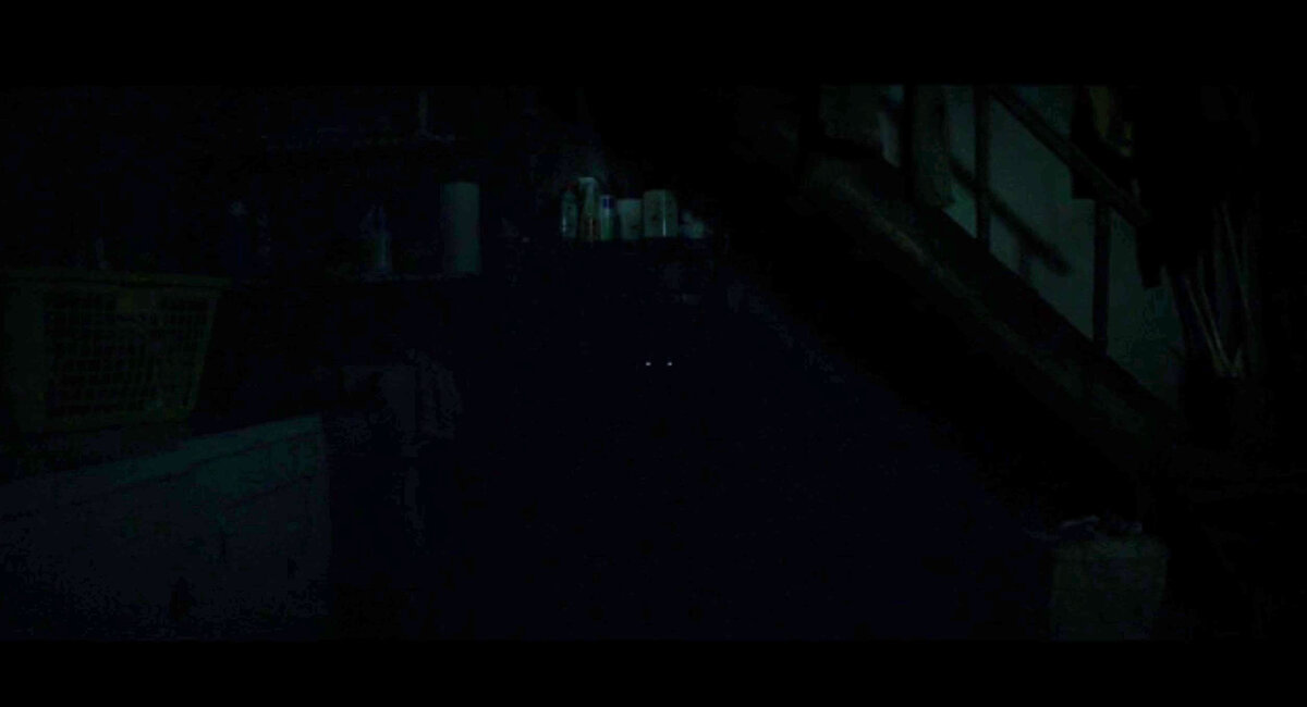 Нам показывают только светящиеся глаза, наблюдающие из темноты.