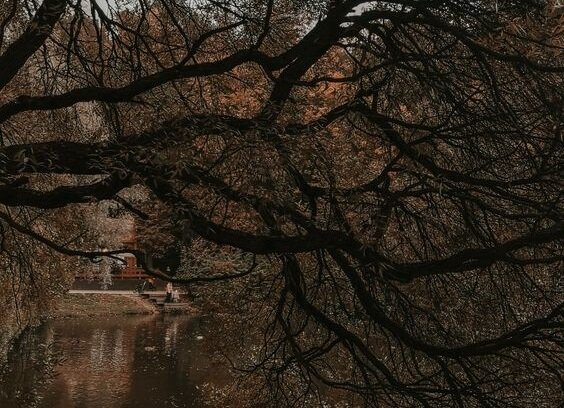 Источник: Pinterest