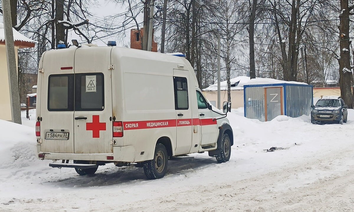 ФОТО: chesnok.media