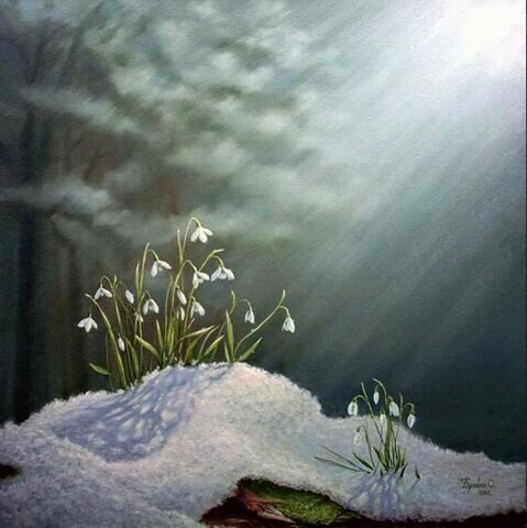 Это изображение имеется во многих открытых источниках интернета