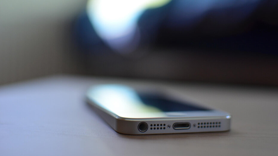    Автор фото: pxhere.com