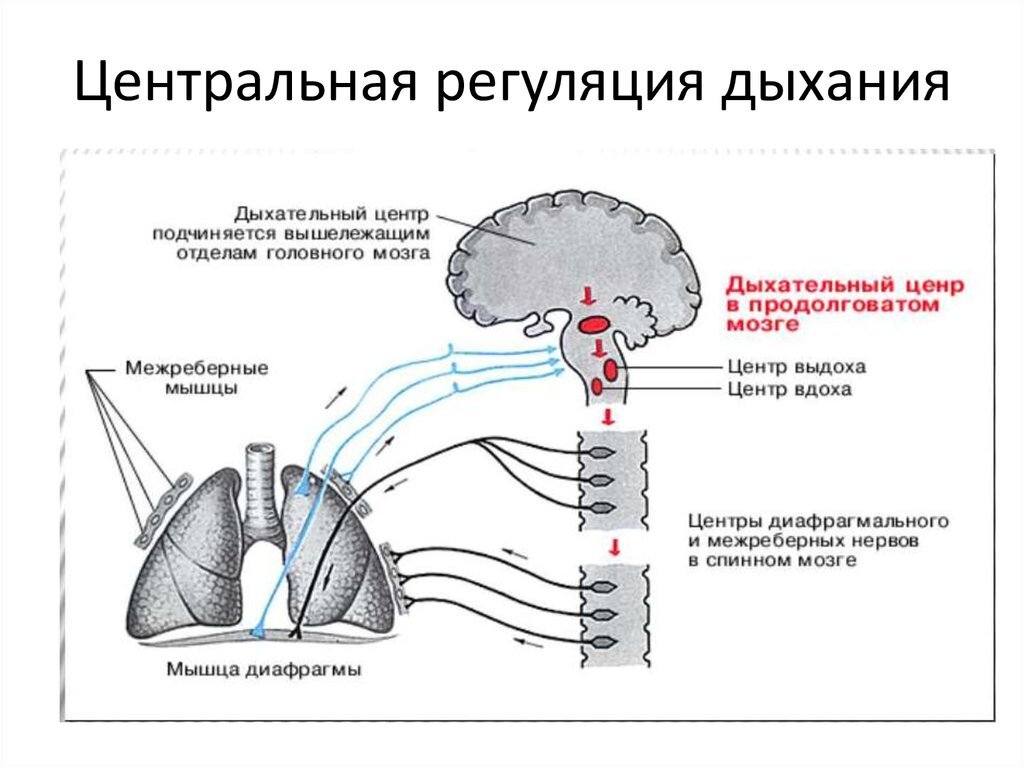 Из общедоступных источников